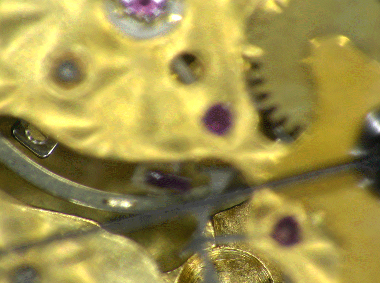close up of watch cogs using focus stacking software