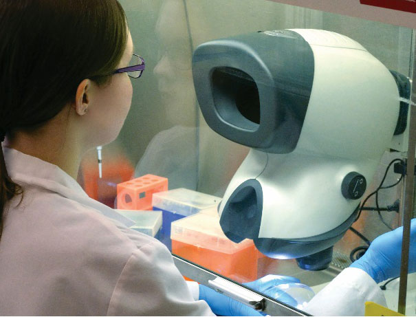 Técnico de laboratorio con gafas usando microscopio Mantis dentro del gabinete de flujo laminar